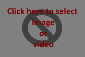 Select Image or Video